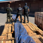 Apreensão de cocaína em cargas de madeira pode ser a maior da história do Brasil, diz Receita Federal