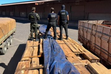 Apreensão de cocaína em cargas de madeira pode ser a maior da história do Brasil, diz Receita Federal